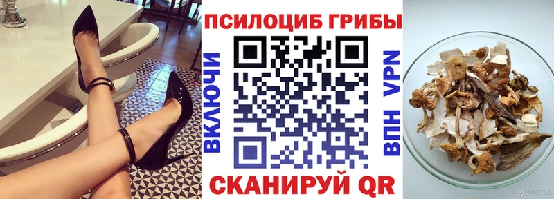 закладка  Александровск  Галлюциногенные грибы MAGIC MUSHROOMS 